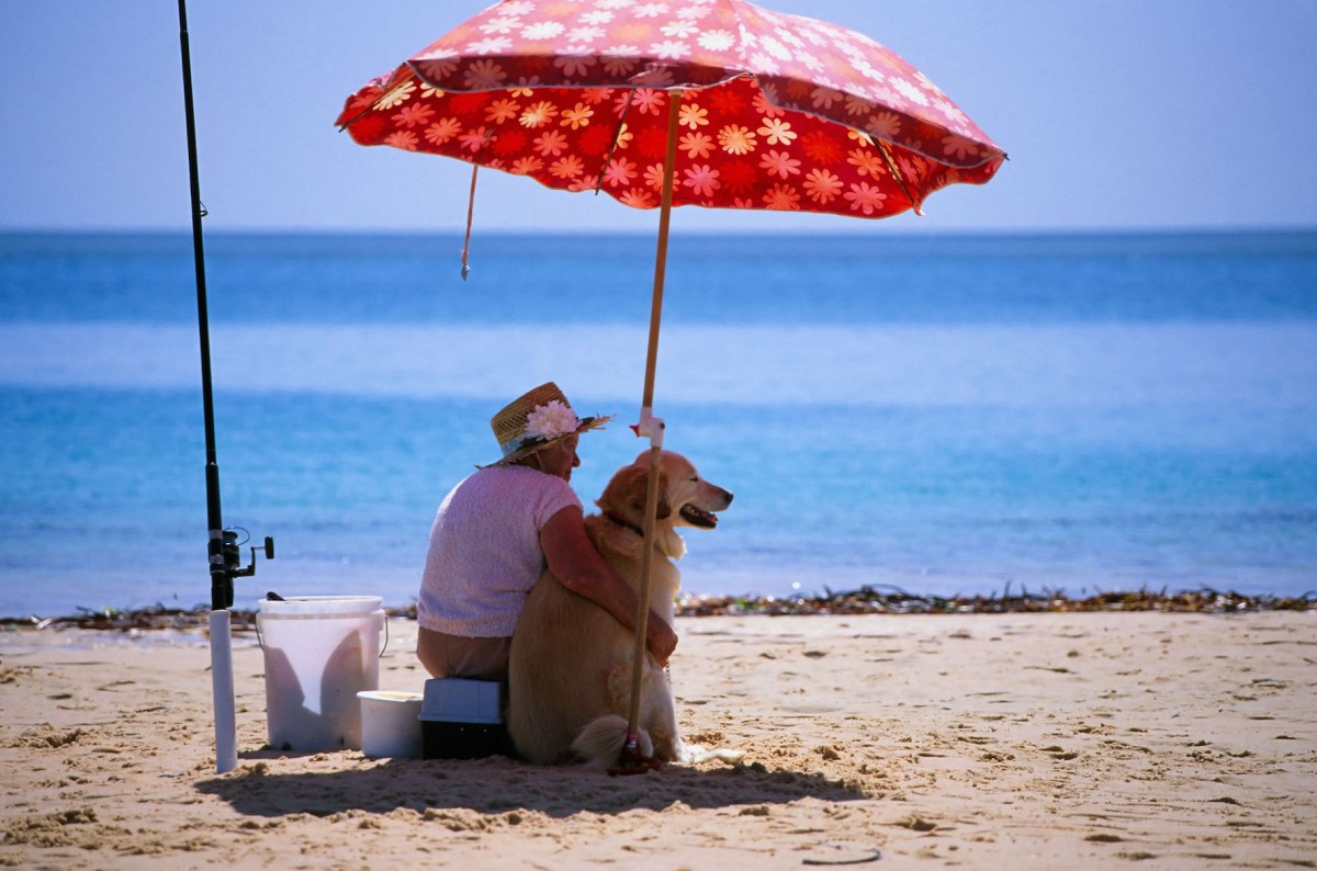 Emmener son chien à la plage SPA de Lyon et du Sud Est