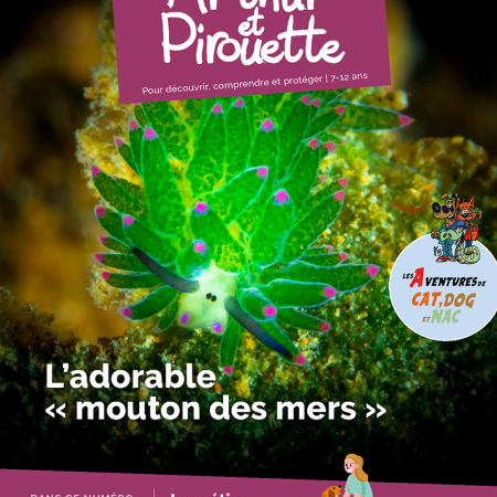 Couverture revue Arthur et Pirouette n°142 mars 2025