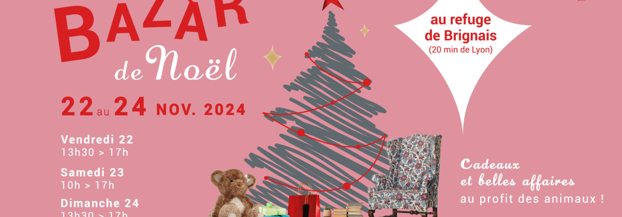 Bazar de Noel 2024