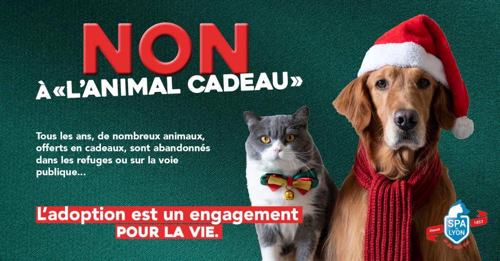 Non à l'animal cadeau - campagne hiver 2024 SPA de Lyon