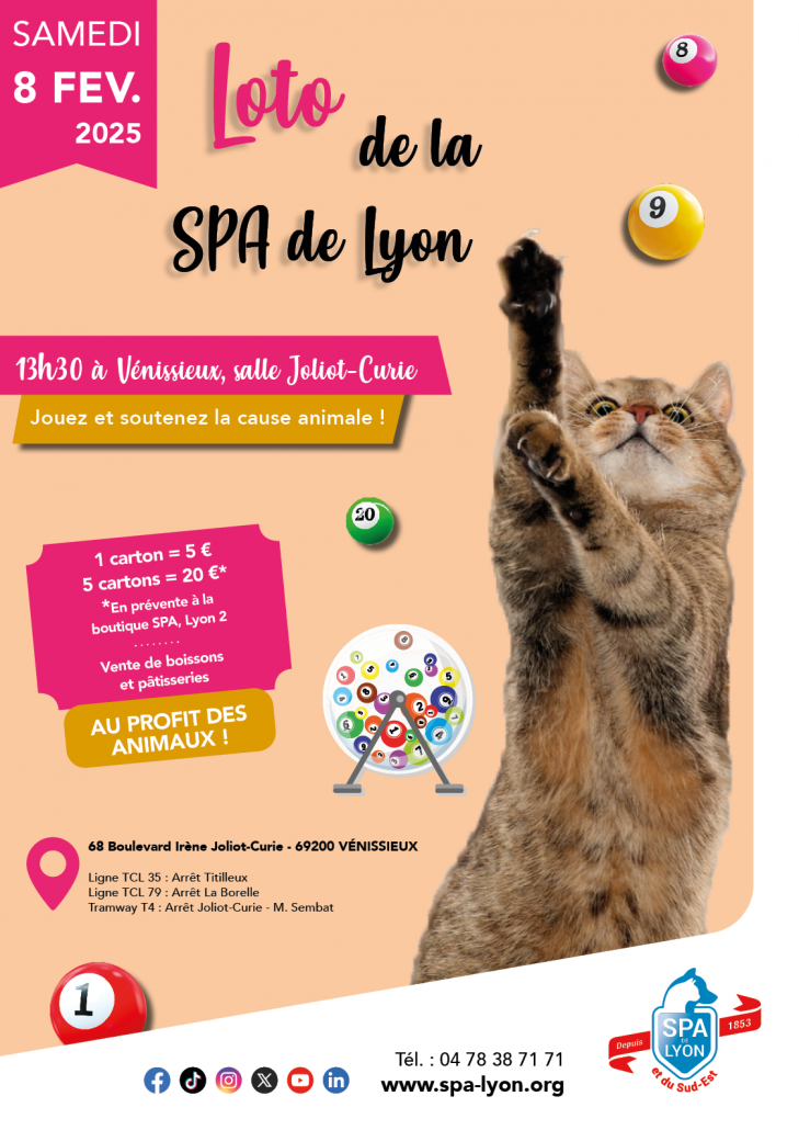 Loto de la SPA de Lyon Samedi 8 février à partir de 13h30 à la salle Irène Joliot-Curie de Vénissieux. Plus d'informations sur www.spa-lyon.org